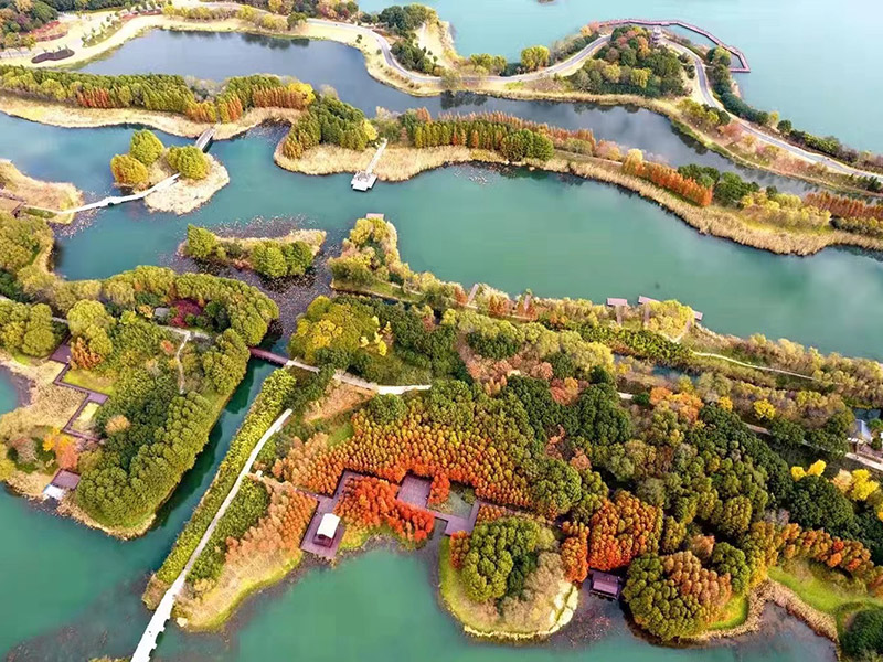 kaiyun「中国大陆」云开·门户网站 - 官方网站|登录入口